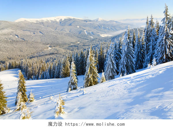 自然风景冬天大雪覆盖山坡树林风景图二十四节气立冬小雪大雪冬至小寒大寒